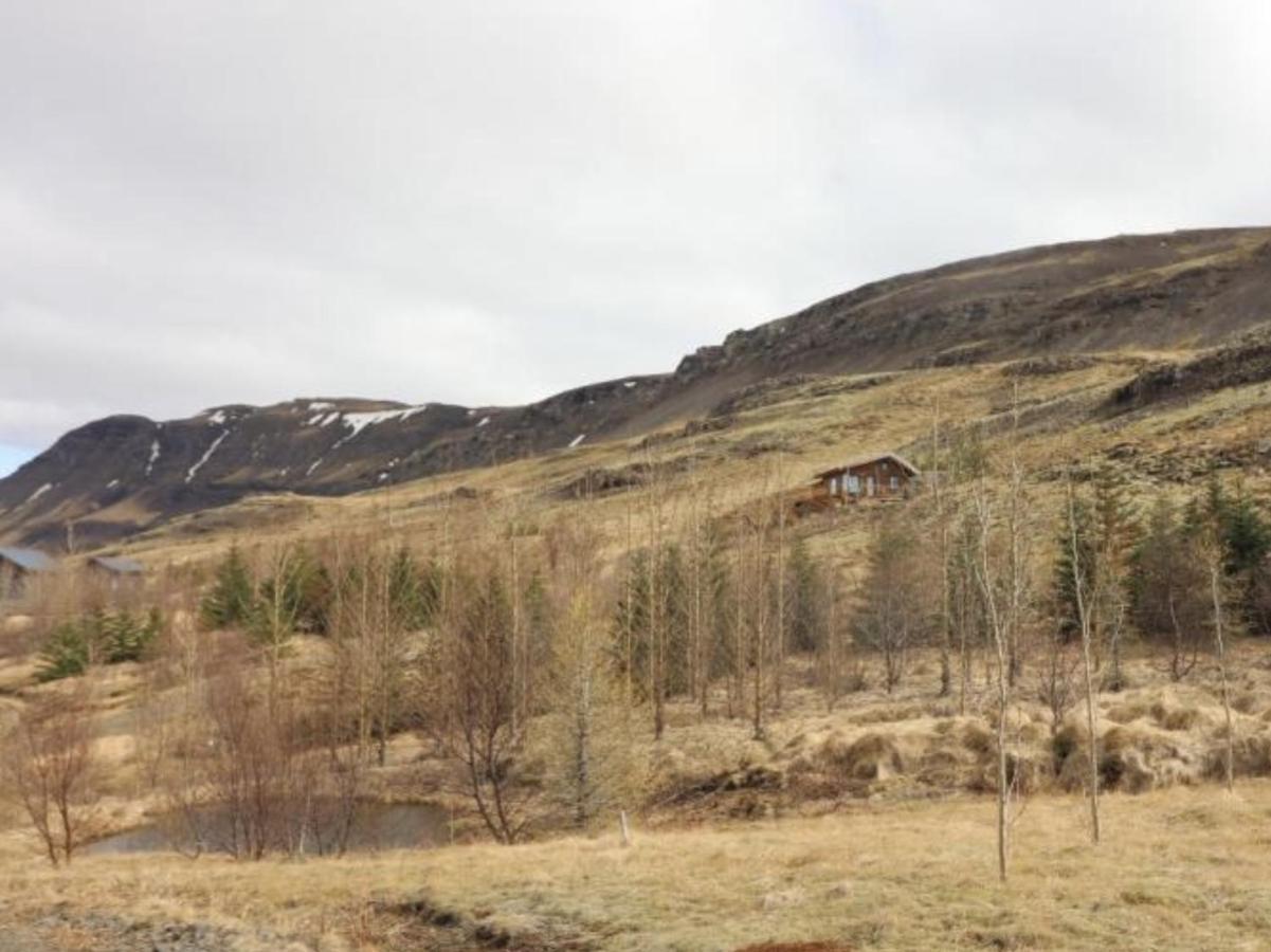 Icelandic Lake House Akranes Kültér fotó